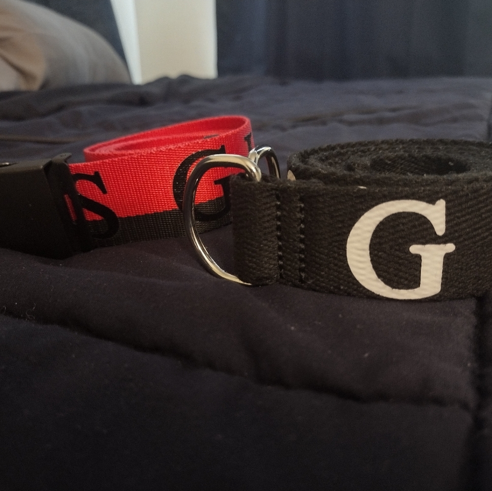 Guess belts